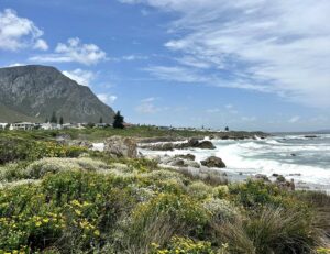 hermanus
